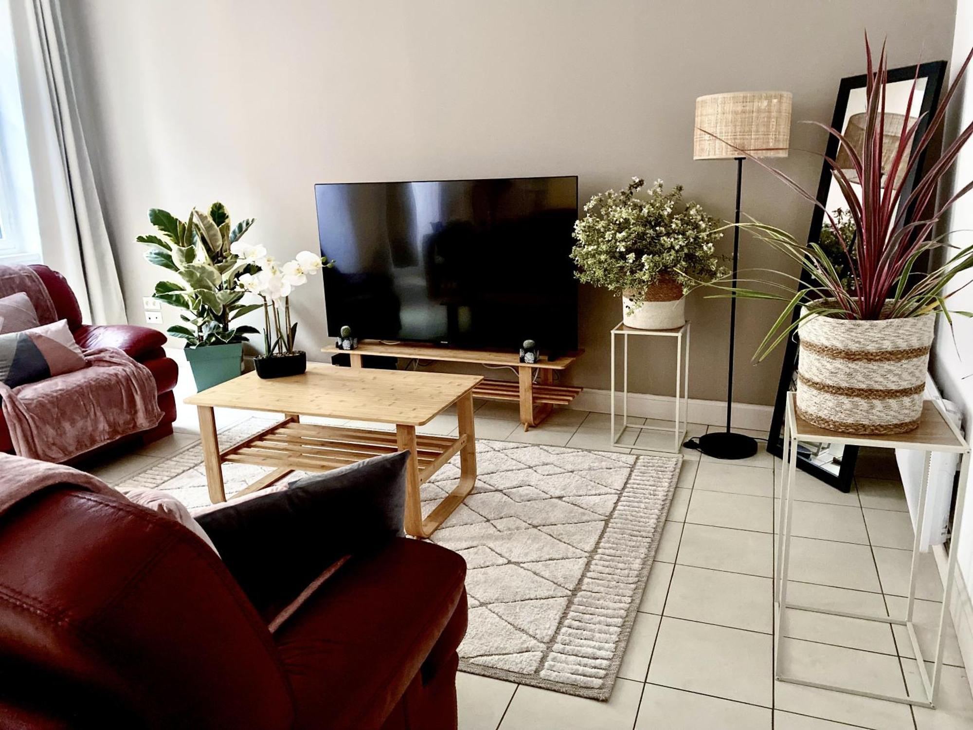 T3 Situe Pres De La Place Carnot Appartement Carcassonne